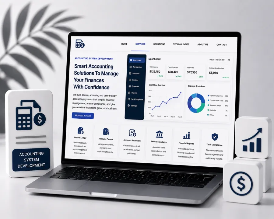 Custom accounting and finance management systems.